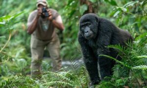 Rwanda Gorilla Safari – 5 Nights / 6 Days
